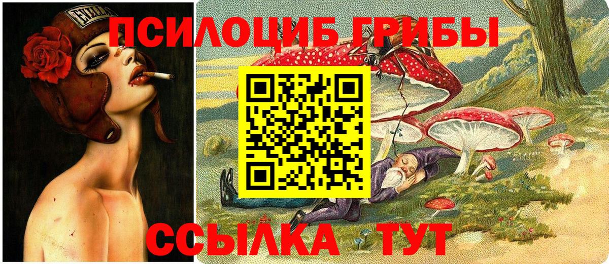 Россия  Псилоцибиновые грибы Cubensis  Вход с VPN  Галлюциногенные грибы MAGIC MUSHROOMS 